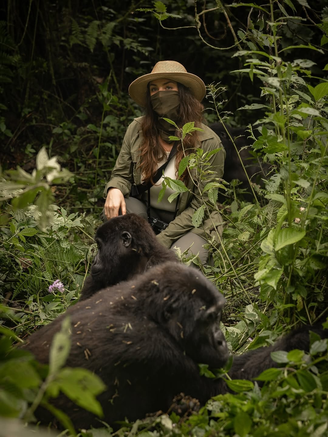 Detailed Itinerary: 6 Days Luxury Gorilla Habituation & Wildlife Safari