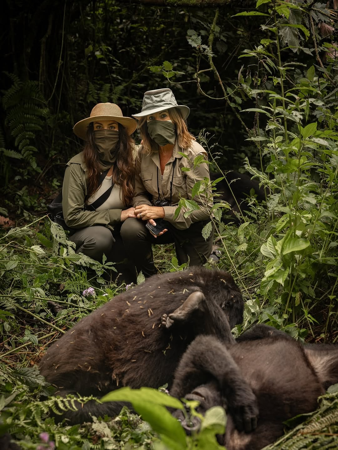 Incredible gorilla trekking moments captured in Uganda