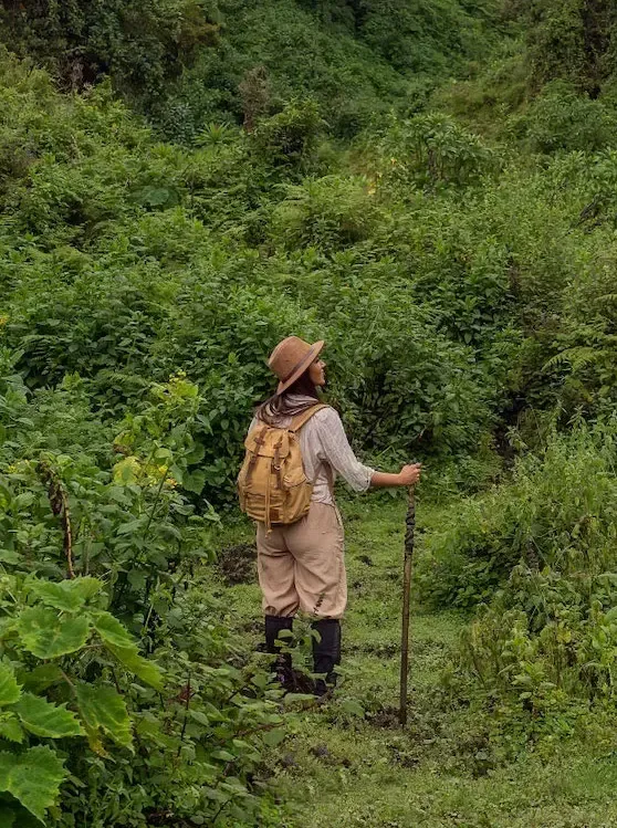 Gorilla trekking near One&Only Gorilla’s Nest lodge