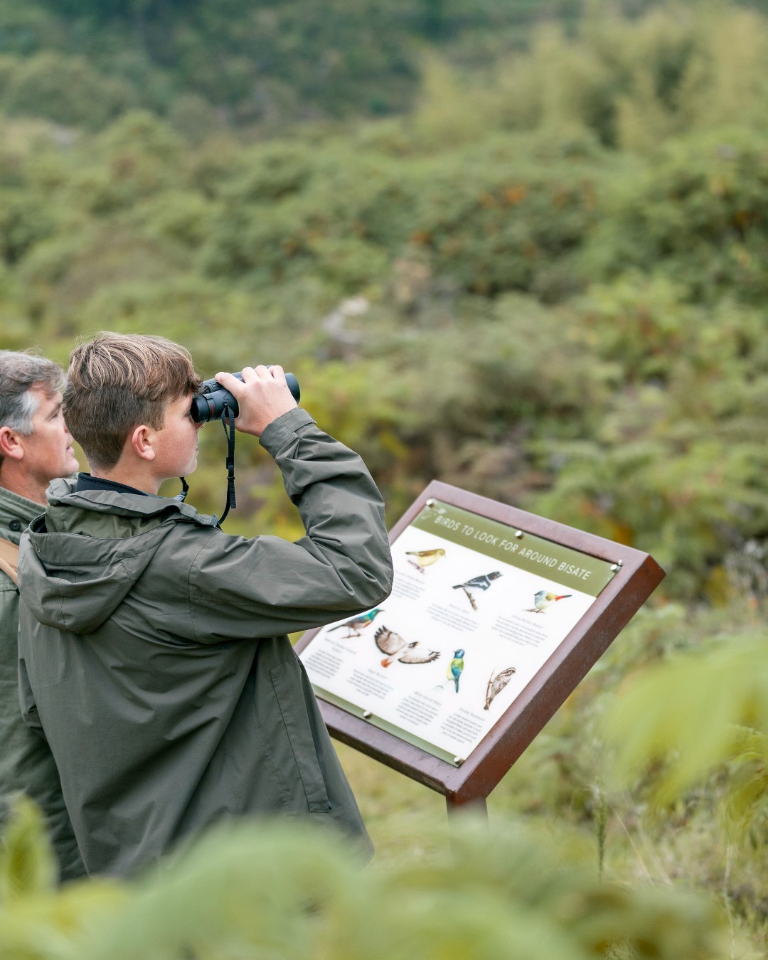 Gorilla conservation and family-friendly luxury safari