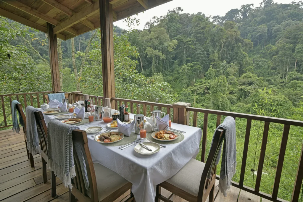 12 Days Luxury Uganda and Rwanda Ultimate Gorilla Safari