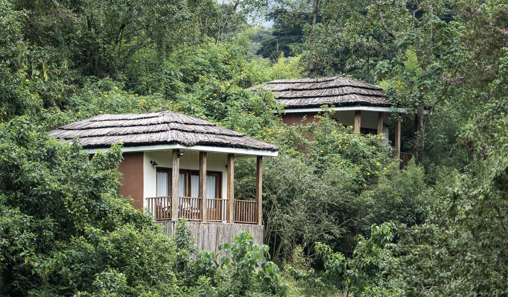 Private forest cottage design at Four Gorillas Lodge in Rushaga Bwindi Uganda