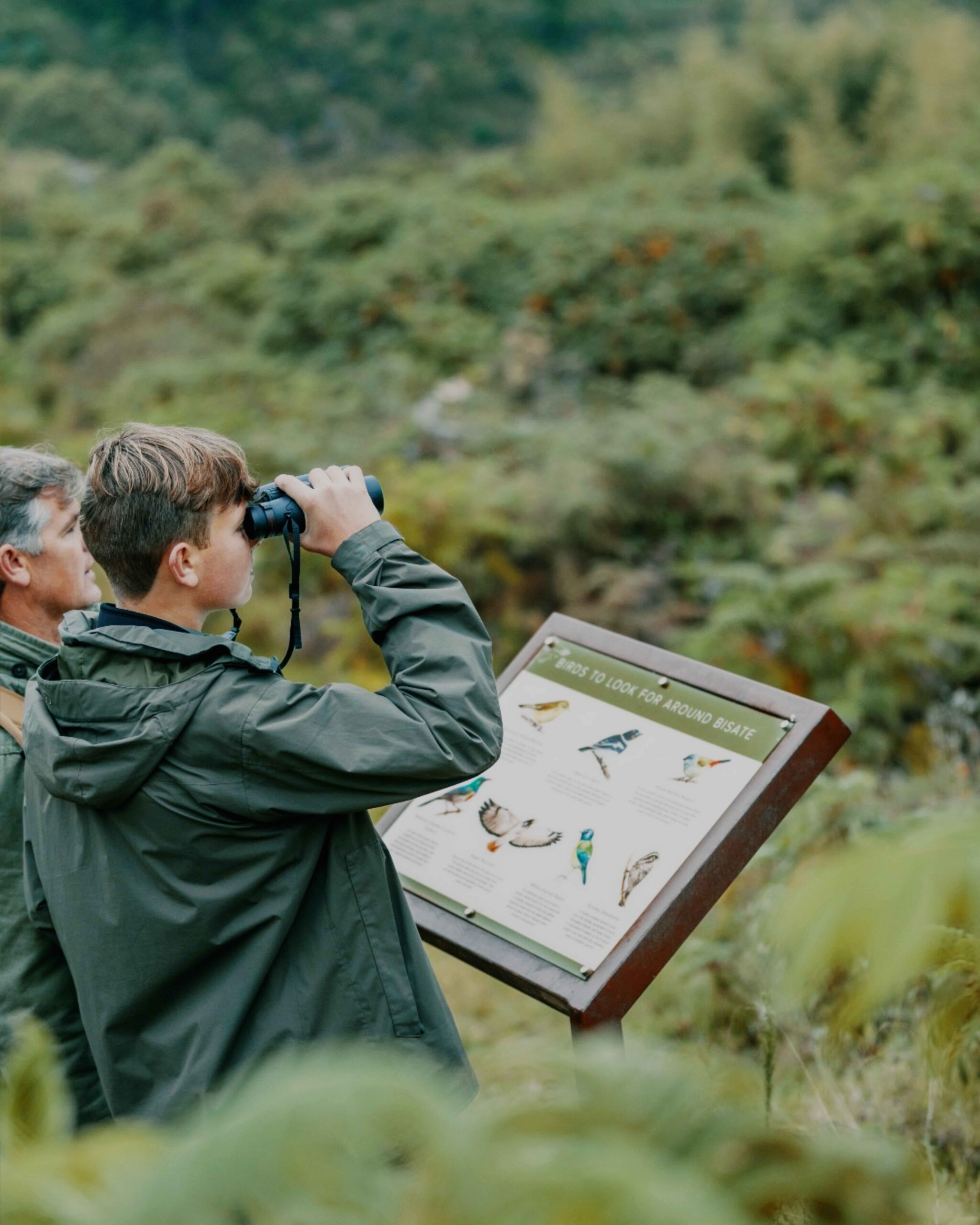 Nature adventures near Bisate Lodge including private hikes and exclusive wildlife experiences