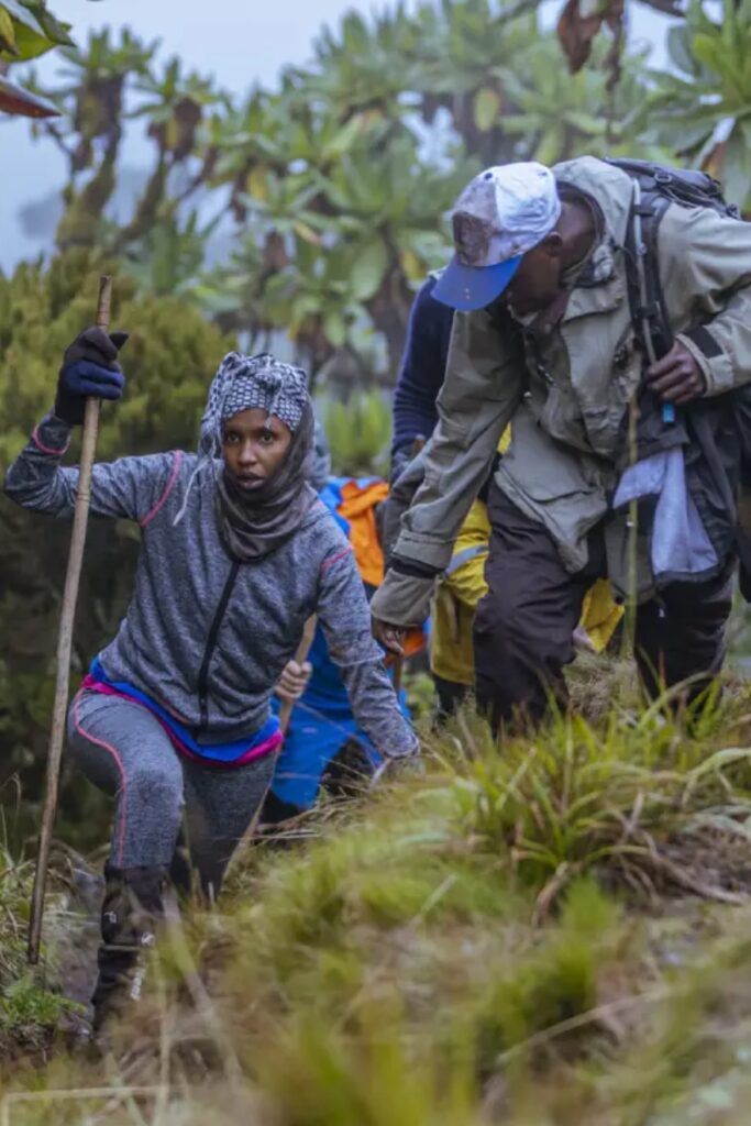 Mountain Gorilla Trekking