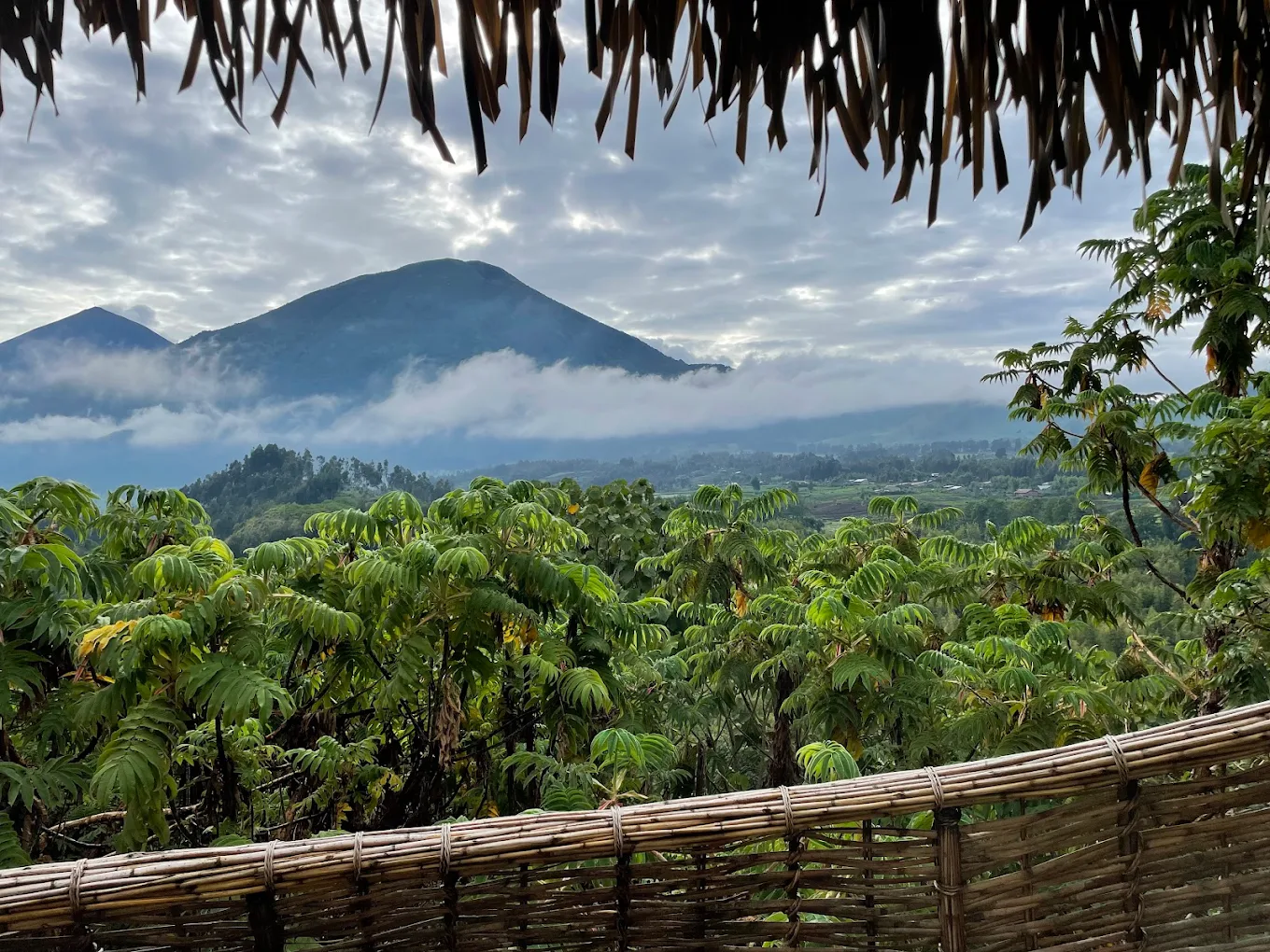 Elevana Guests on Safari Enjoying Rwanda’s Wilderness – Primate Trek or Forest Walk