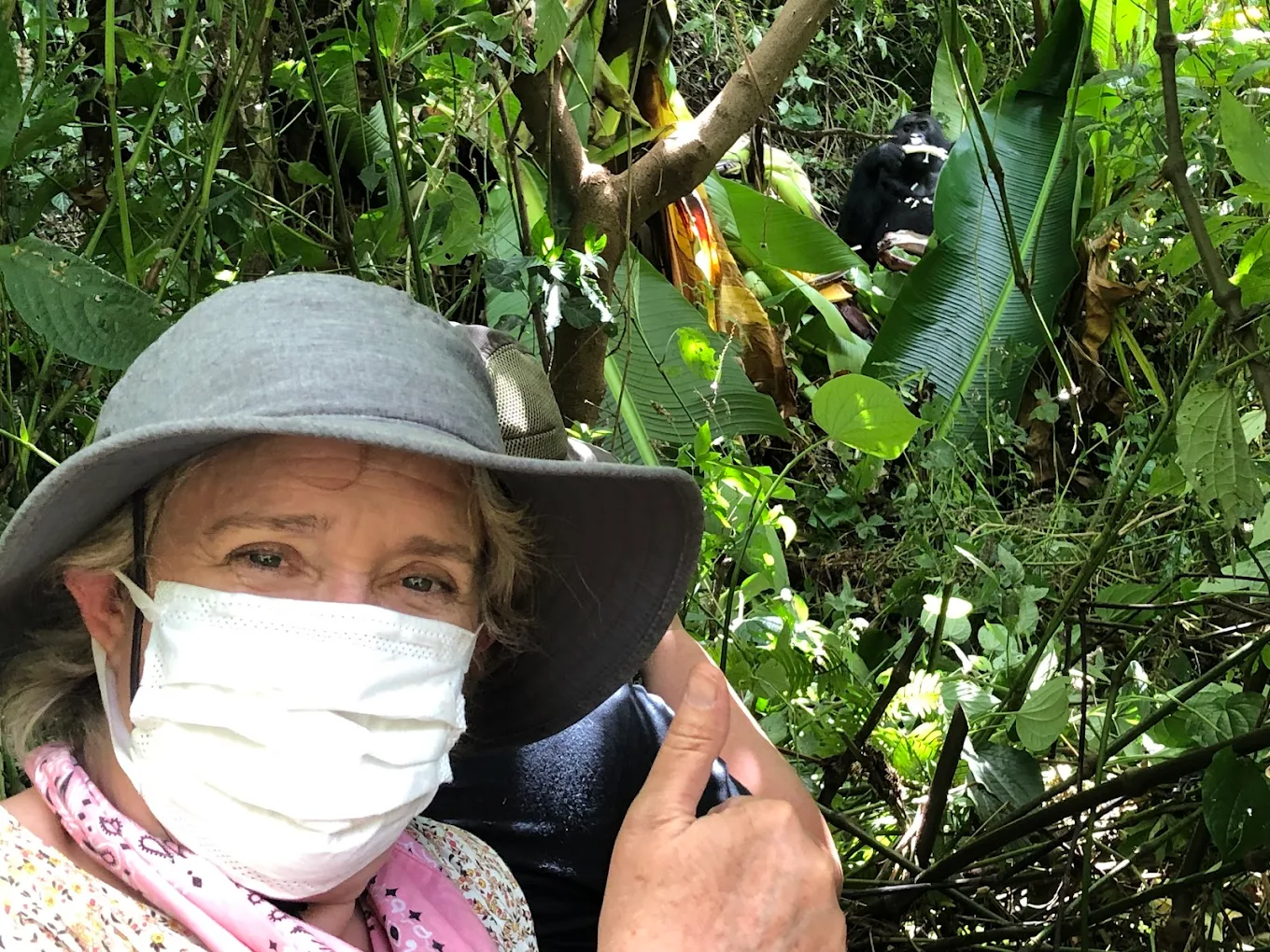 Close-up mountain gorilla portrait during luxury photography tour