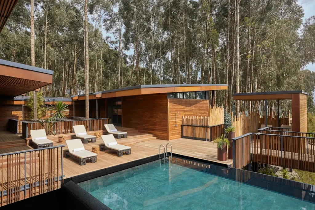 8 Days Luxury Uganda and Rwanda Gorilla Trekking Adventure