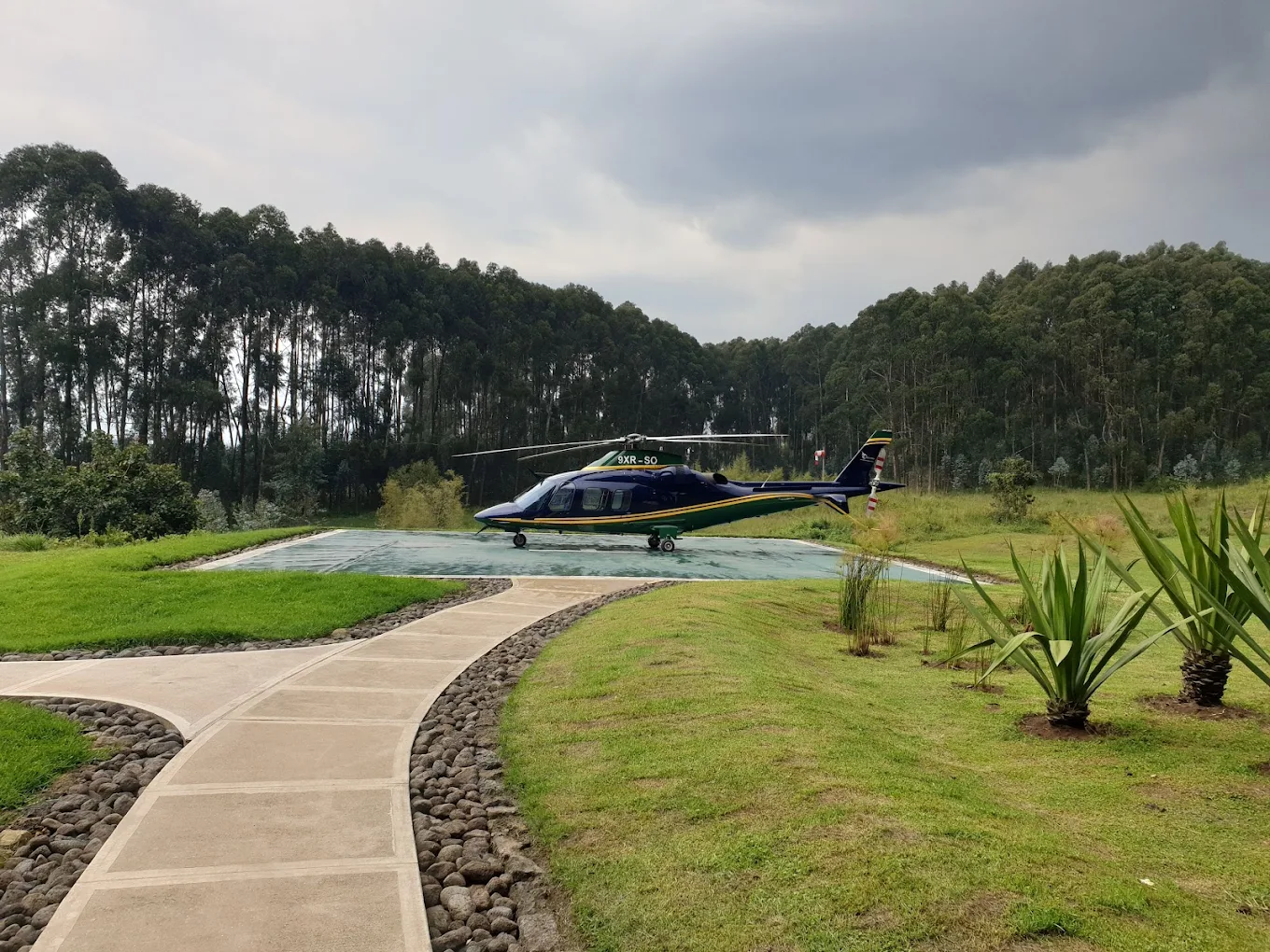 Which Country Has the Best Luxury Gorilla Tours in Africa?
