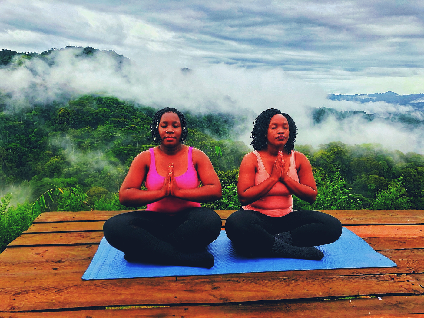 Gorilla habitat and pristine forest landscape related to luxury safari conservation