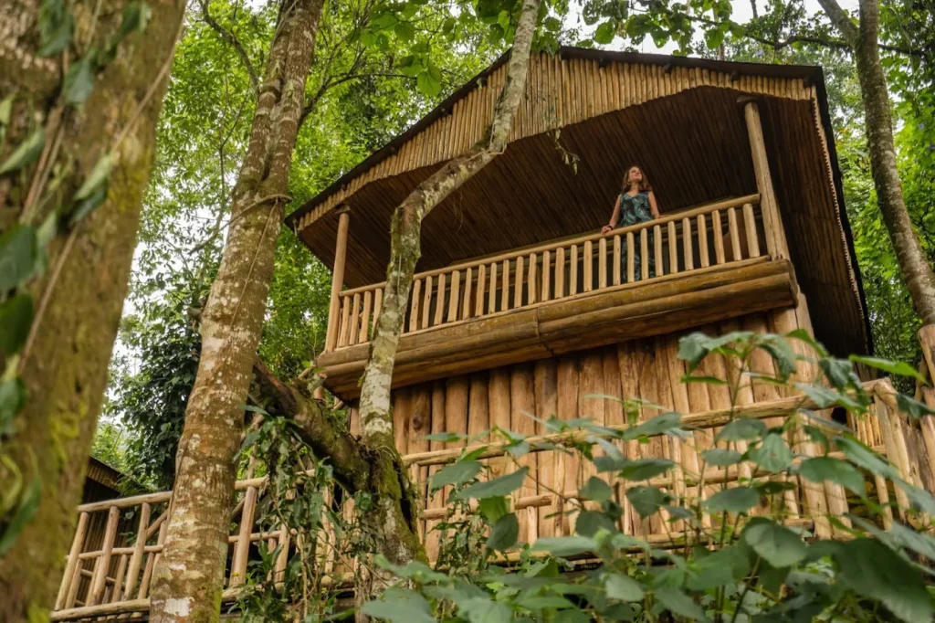 Private Gorilla Trekking vs Group Trekking