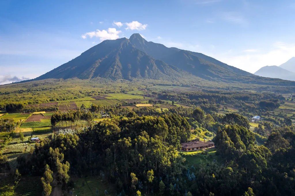 Private Gorilla Safari Packages – Tailor-Made Luxury Gorilla Holidays