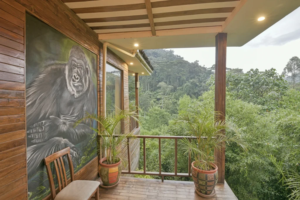 FOUR GORILLAS LODGE View