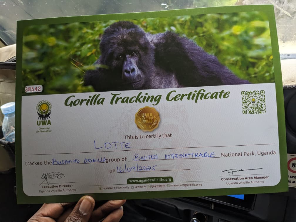 Gorilla trekking certificate after the experience