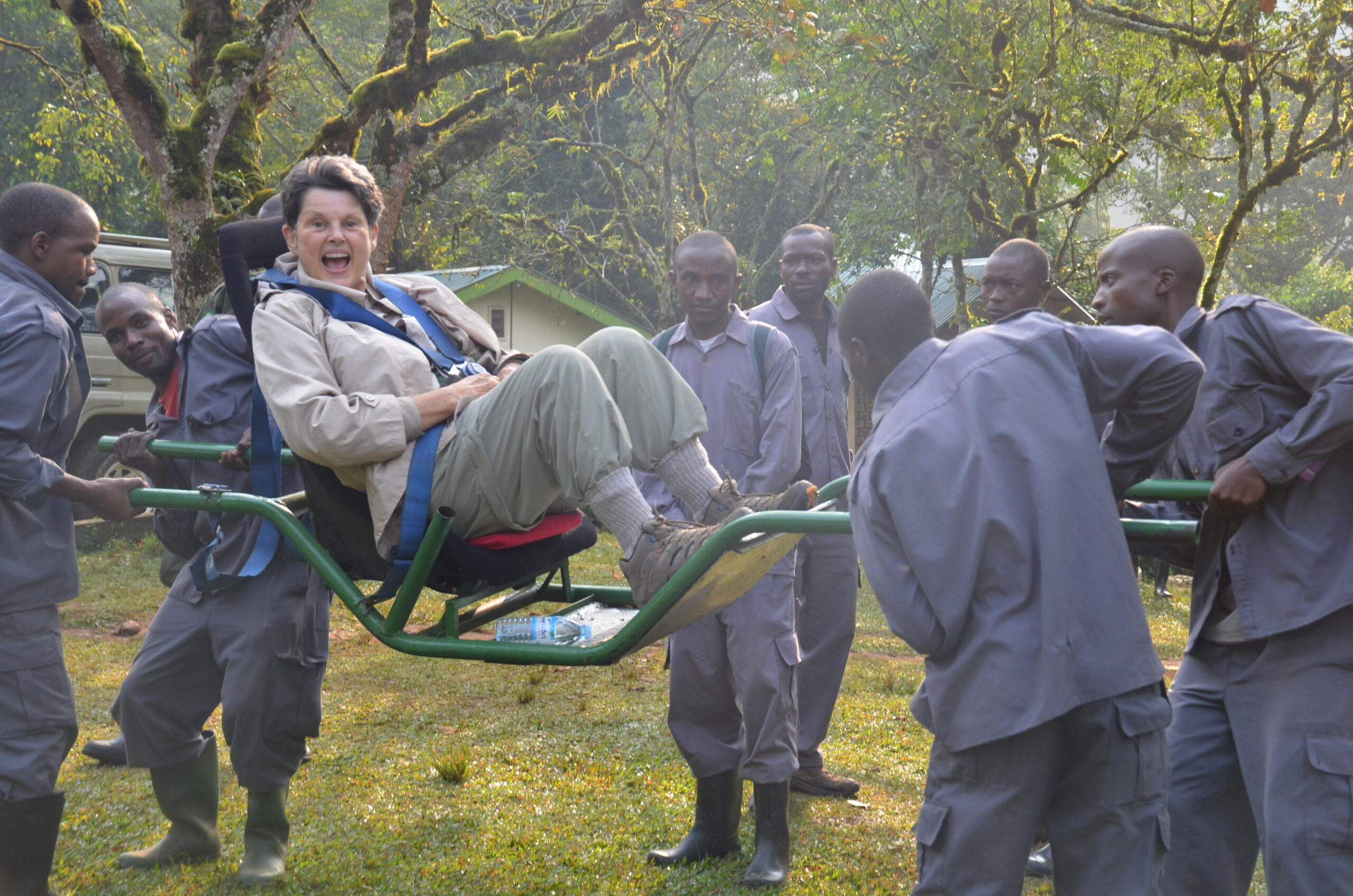 Gorilla trekking on a sedan chair experience
