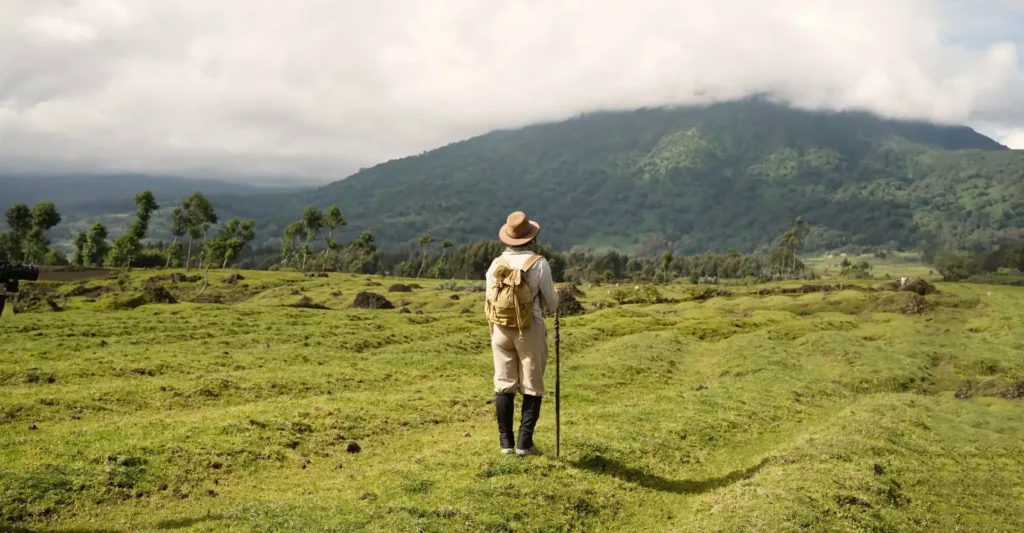 Best Time for Luxury Gorilla Trekking (Weather, Pricing & Seasonal Tips)