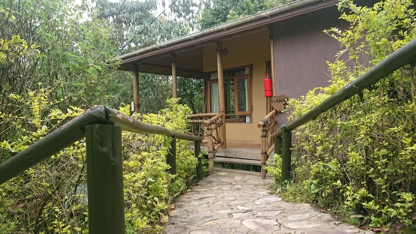 Ichumbi Gorilla Lodge combines luxury comfort with easy access to gorilla trekking
