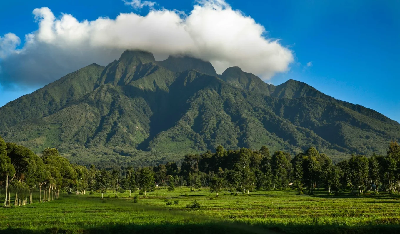 Mgahinga Gorilla National Park forest landscape