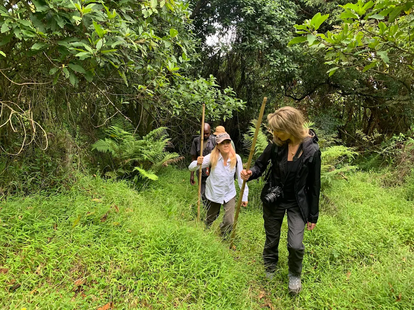 Mgahinga Gorilla National Park Hike