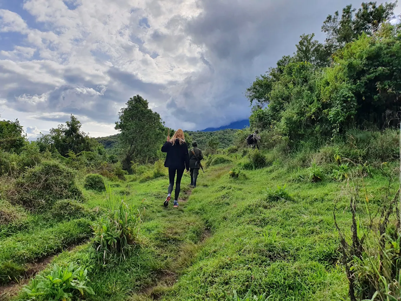 Exclusive gorilla trekking Mgahinga Uganda intimate safari experience