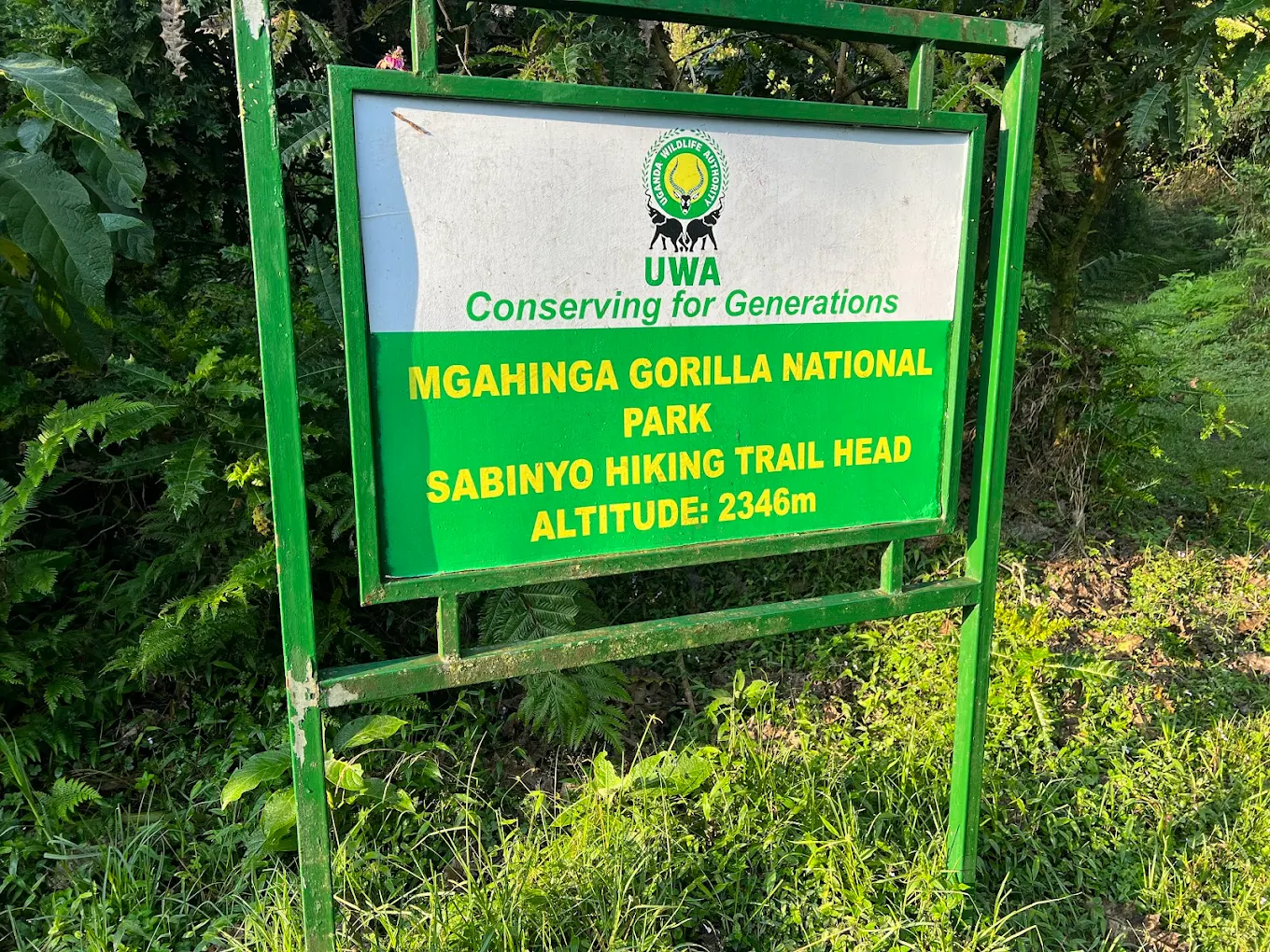 Mgahinga Gorilla National Park volcanic landscape