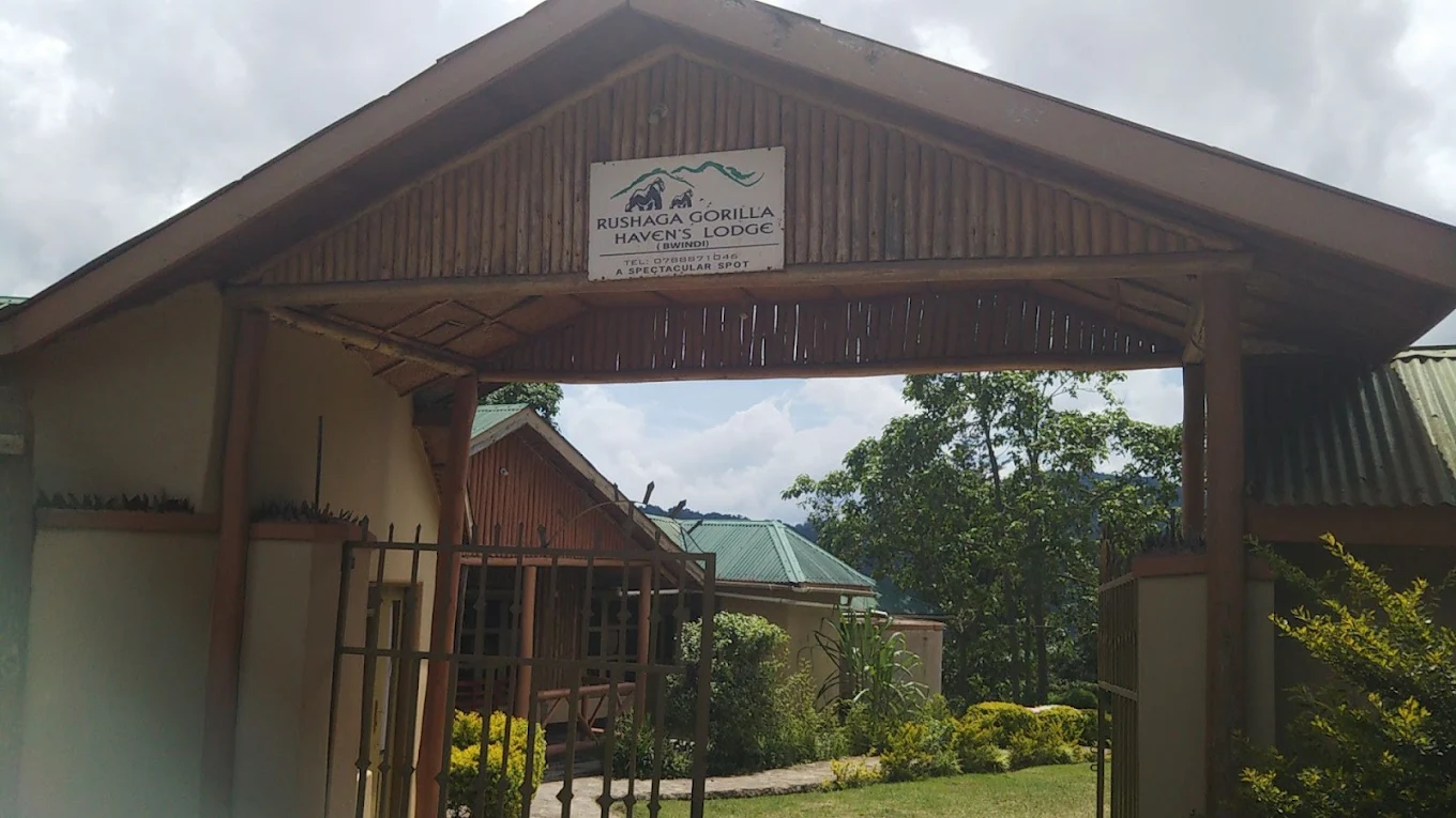 Rushaga Gorilla Havens Lodge entrance experience