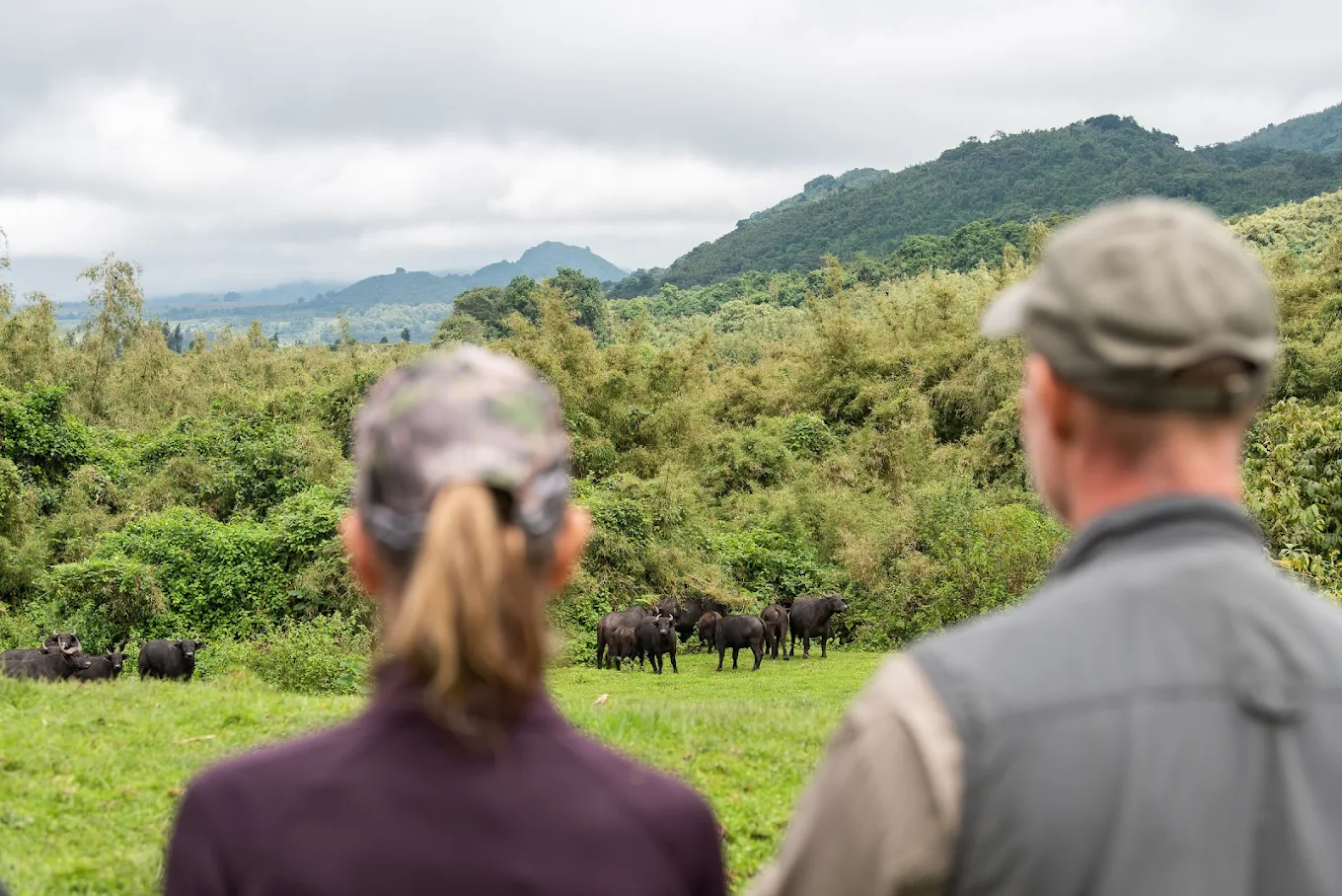 Tailor-Made Luxury: How Private Gorilla Safari Packages Are Designed
