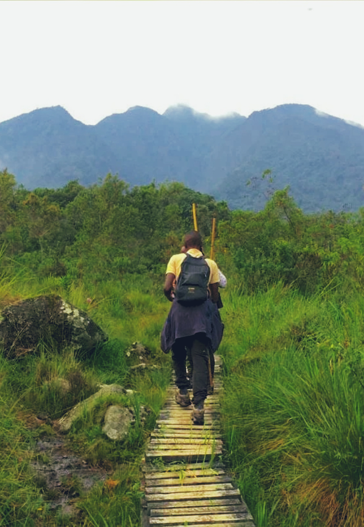 Scenic Nature Setting near Your Luxury Rwanda Gorilla Safari Lodge – Elevana