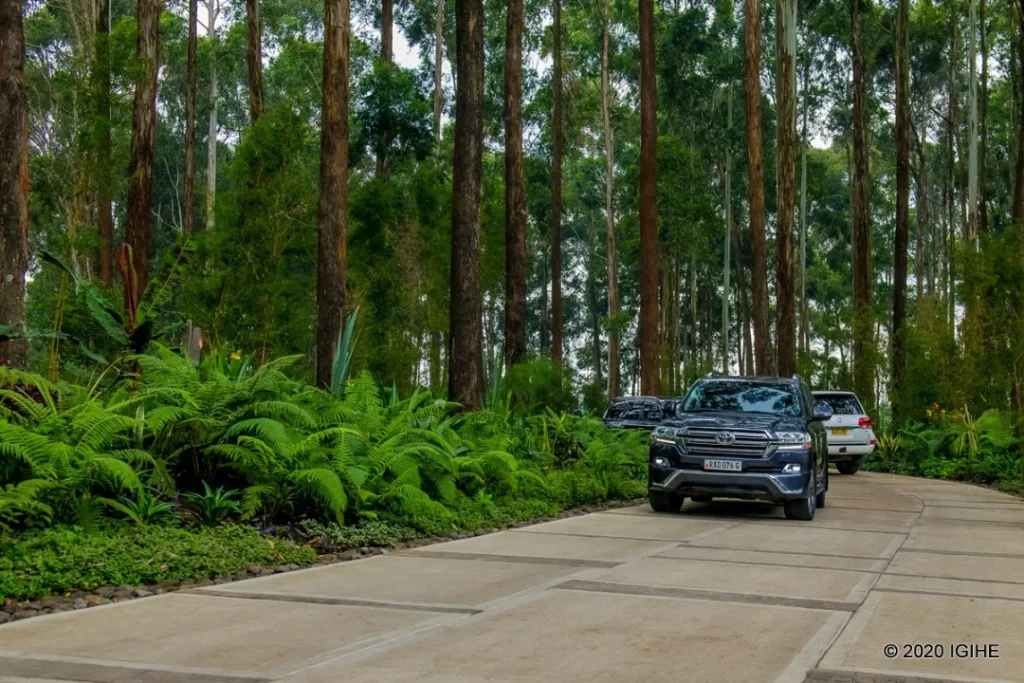 Top 5 Luxury Lodges in Volcanoes National Park Rwanda (2026/2030 Expert Guide)