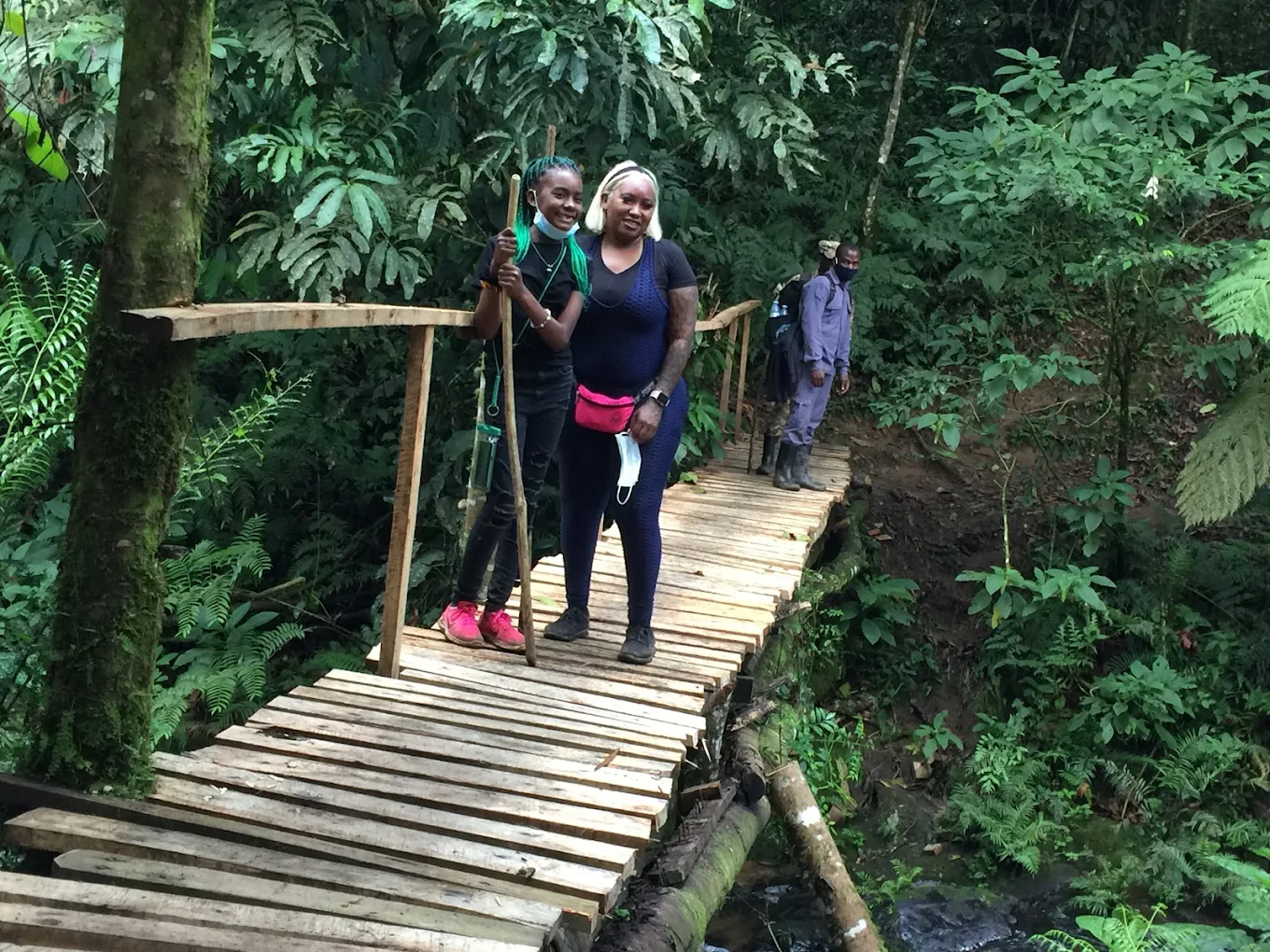 Family-Friendly Luxury Gorilla Trips Age Explained by Elevana