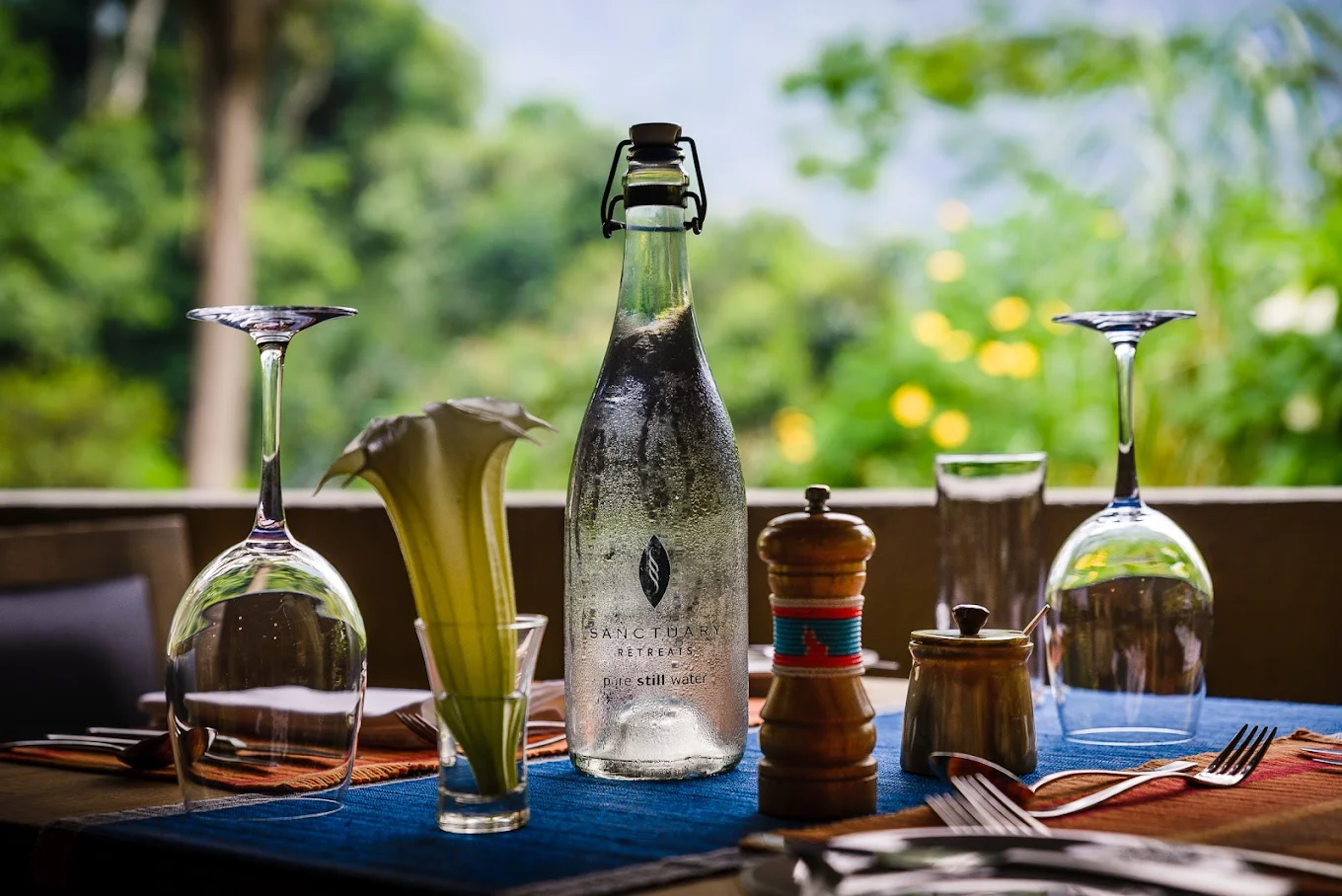 Sanctuary Gorilla Forest Camp vs Other Luxury Lodges in Bwindi