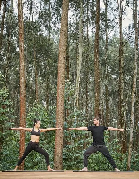 Eco Luxury Gorilla Lodges Rwanda