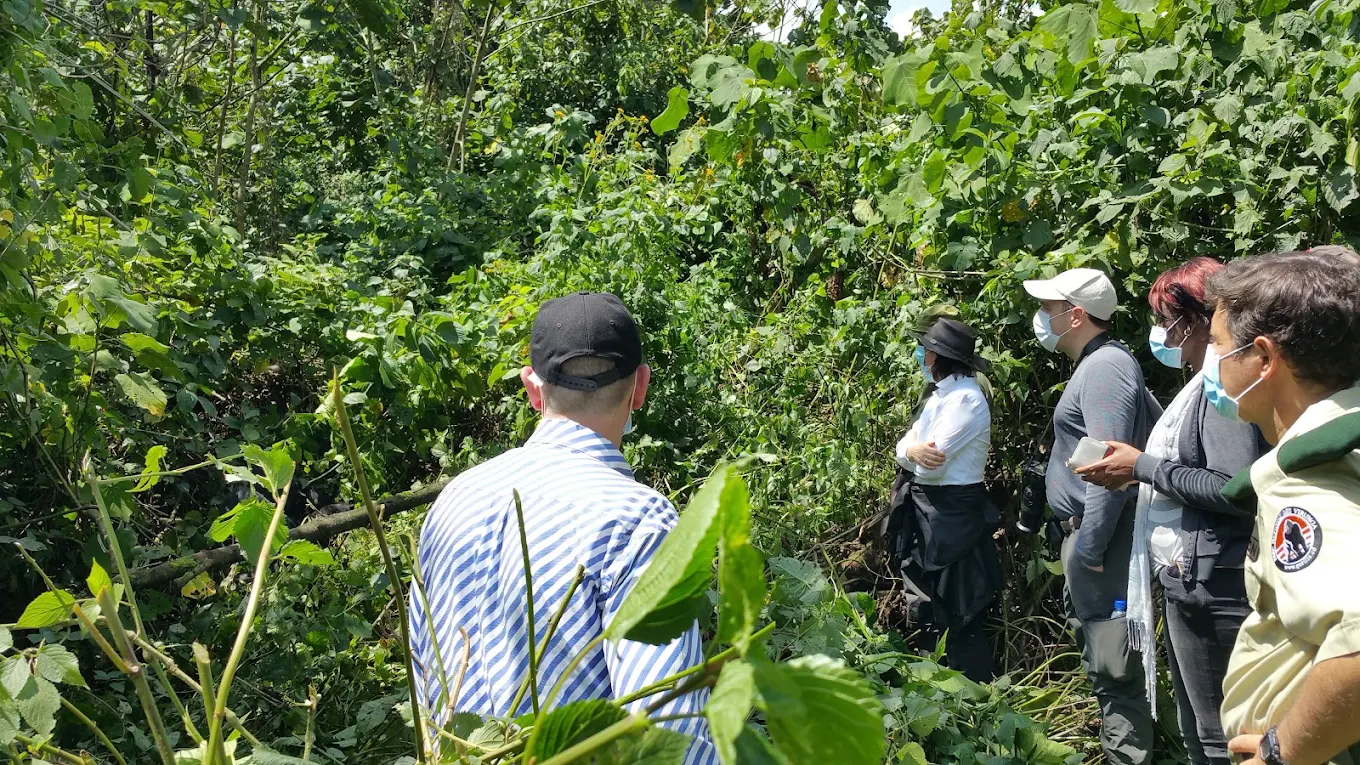 Family-friendly luxury trips to Virunga National Park