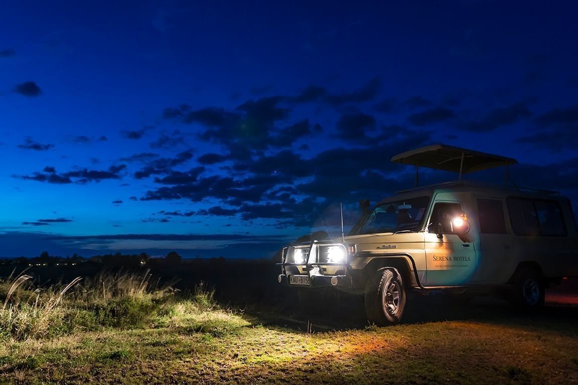 Beauty of a Night Game Drive