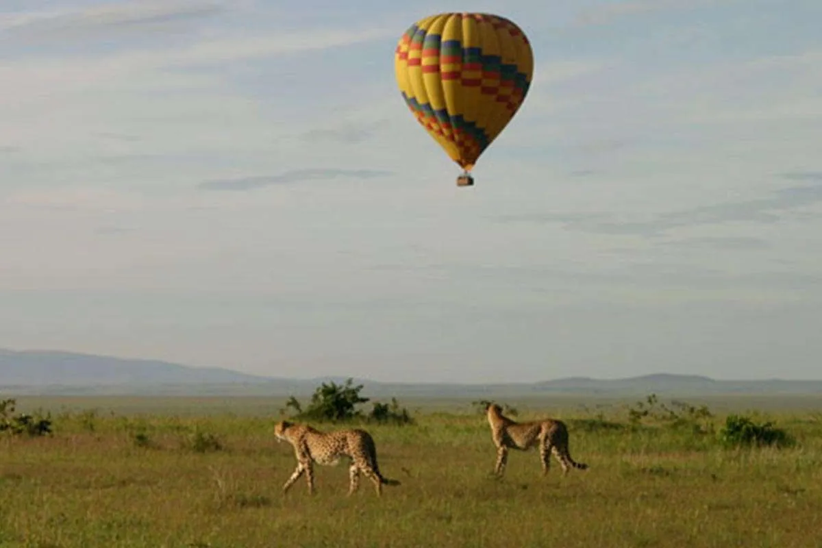 Hot Air Balloon Safari Murchison Uganda