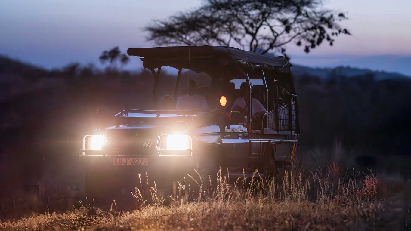 Night Game Drive Light Scene