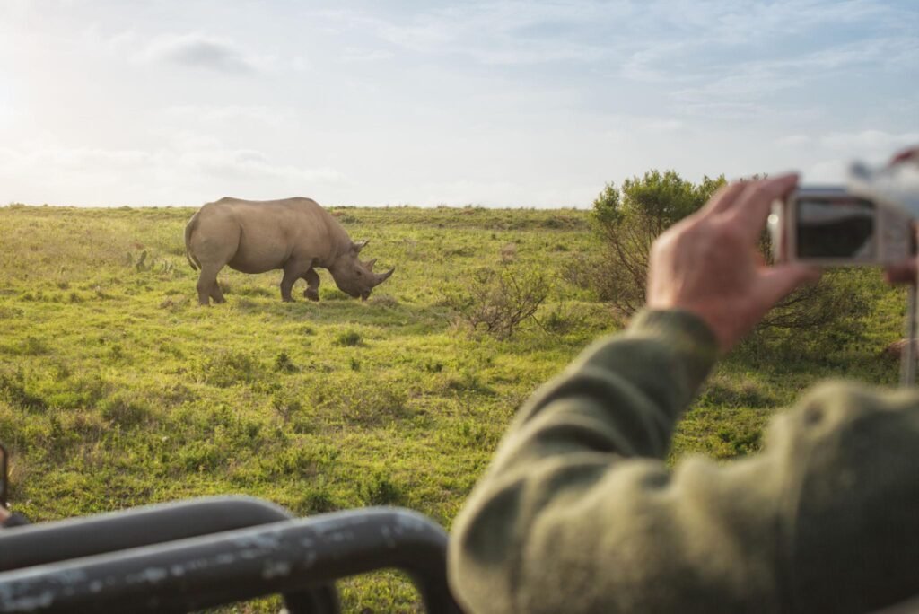 14 Days Luxury Uganda Rwanda Wildlife and Gorilla Safari