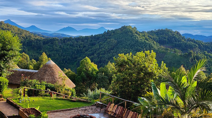 Agandi Eco Lodge offers eco-friendly accommodations with breathtaking views of Bwindi Forest and surrounding hills. The lodge combines sustainable tourism with personalized safari experiences, allowing guests to enjoy comfort while supporting