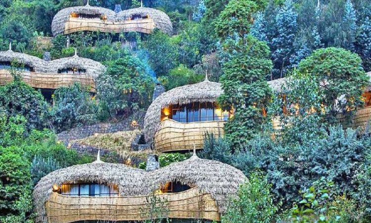 Luxury Gorilla Lodge Experience in Rwanda