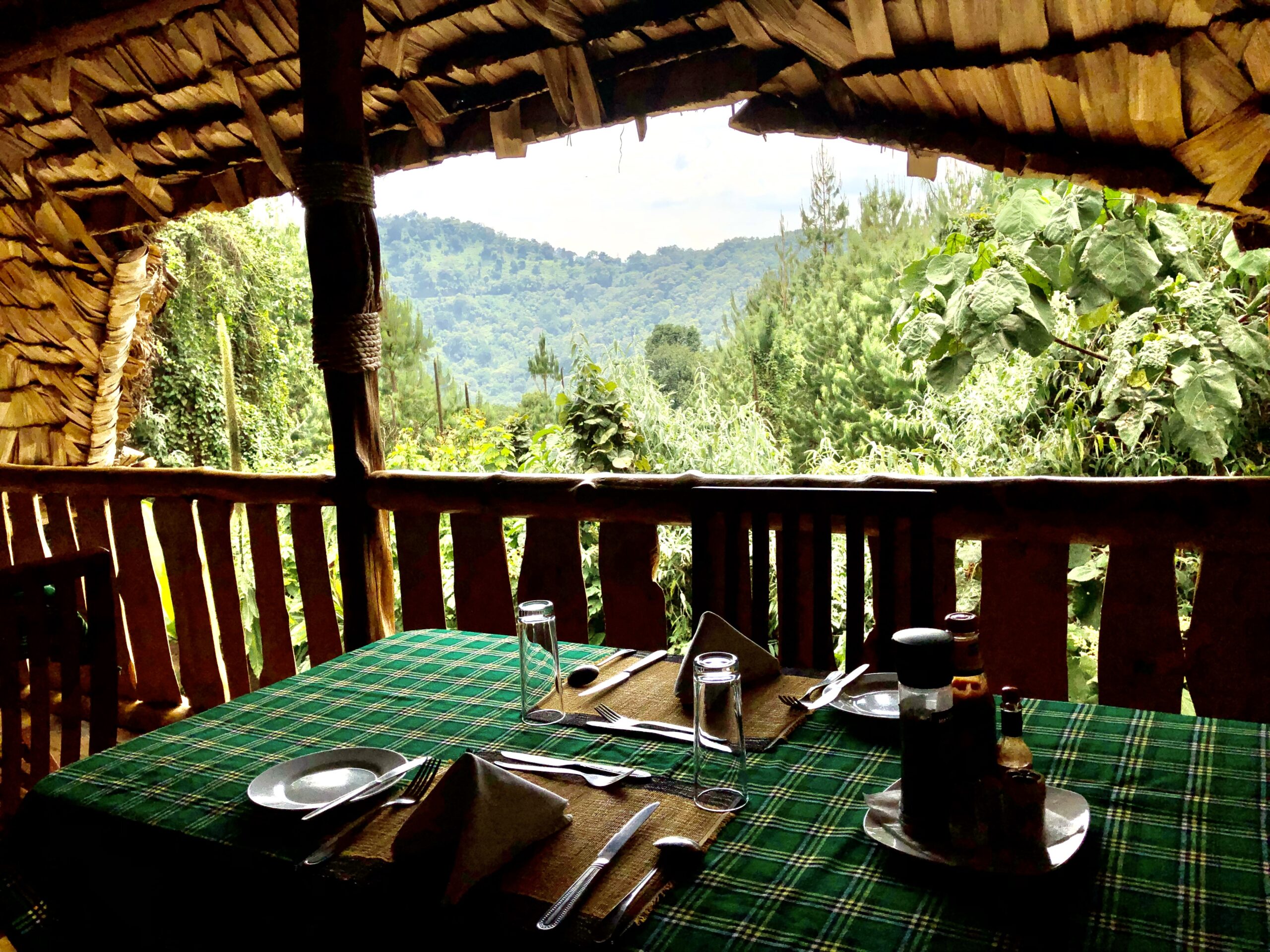 Broadbill Forest Camp is especially popular among birdwatchers, photographers, and nature lovers because of its quiet forest location and proximity to important birding trails. The lodge provides comfortable accommodations surrounded by rich biodiversity and natural forest beauty. Travelers 