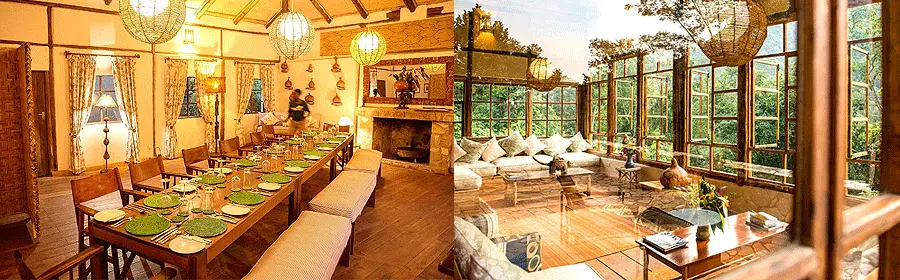 Bwindi Lodge is renowned for its intimate atmosphere and strong connection to conservation initiatives. Located within the Buhoma sector, the lodge overlooks the rainforest canopy and offers elegant bandas, personalized service, wellness treatments, and exceptional dining experiences. Travelers seeking meaningful conservation-focused travel often choose Bwindi Lodge because of its commitment to supporting local communities and