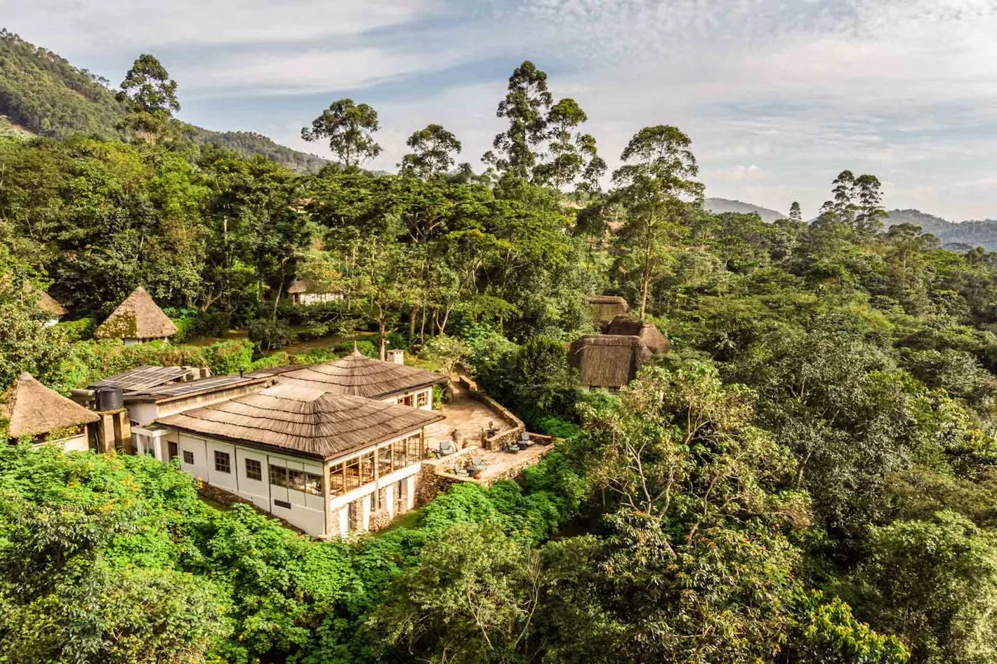 Exceptional Best Luxury Gorilla Lodges in Uganda