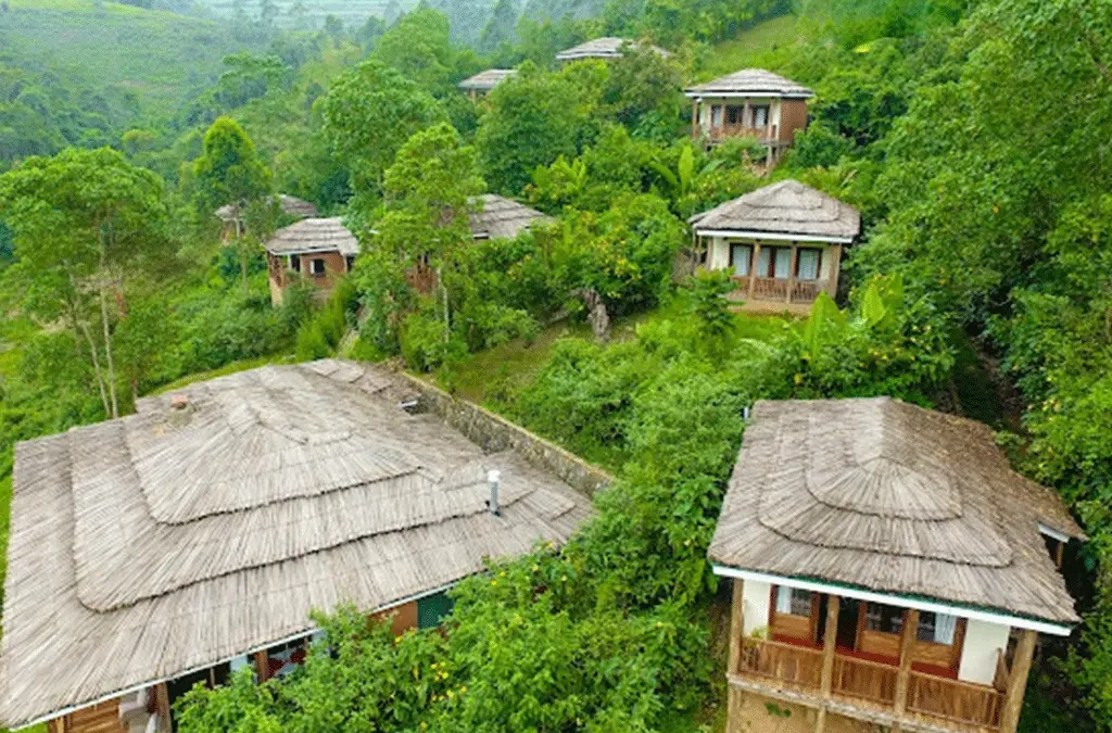 Four Gorillas Lodge has rapidly become one of Uganda’s leading luxury gorilla safari properties thanks to its prime location near the Rushaga sector and its focus on personalized hospitality. The lodge offers spacious cottages, beautifully designed interiors, gourmet cuisine, private terraces, and excellent access to multiple gorilla families. Travelers appreciate the combination of modern comfort, exceptional service, and convenience,