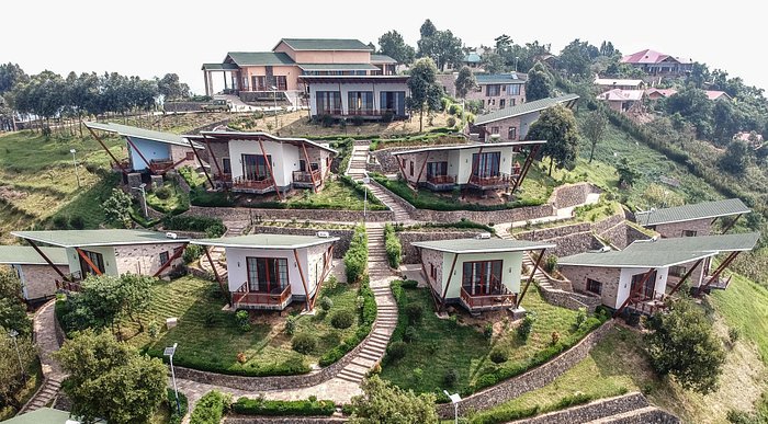Gorilla Heights Lodge Best for Modern Luxury