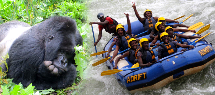 Nile Boat Safari in Uganda