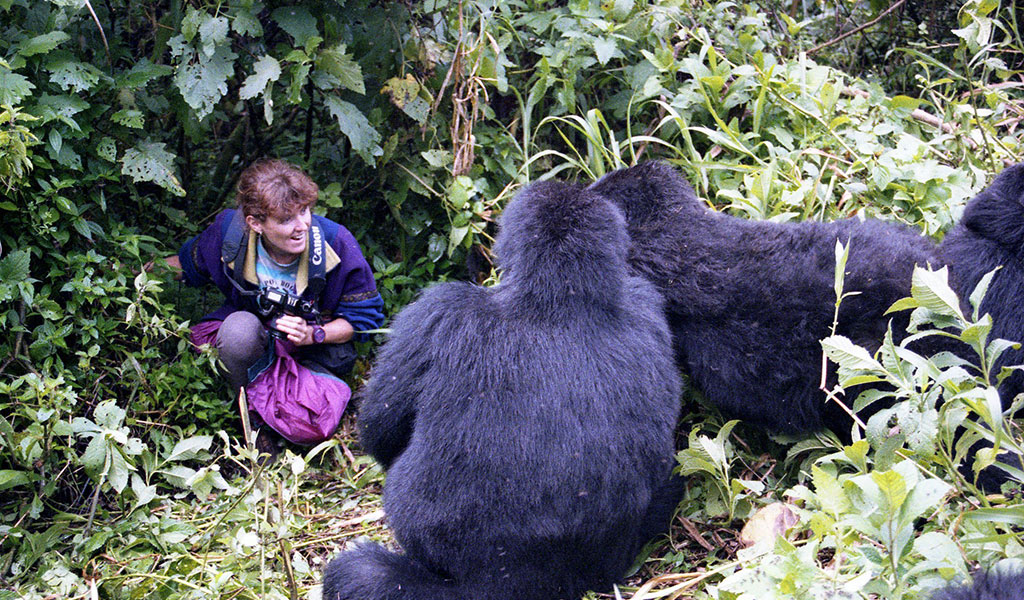 Luxury Gorilla Trekking and Nile Safari Uganda