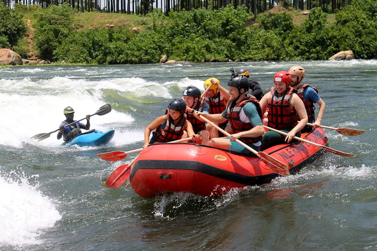 Luxury Gorilla Trekking and Nile Wildlife Safari
