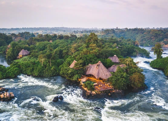 Luxury Gorilla Trekking and Nile Safari Water Experience