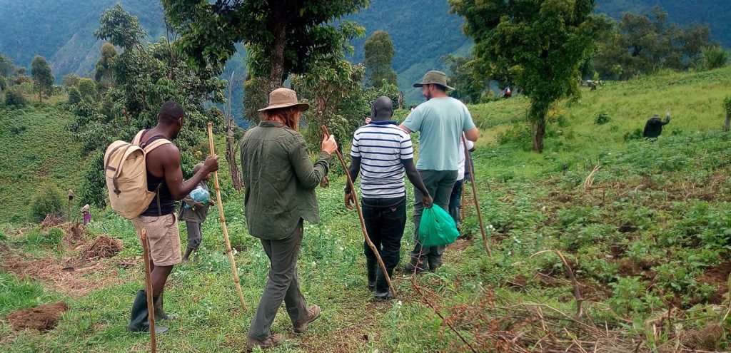 The forests surrounding Uganda’s gorilla trekking destinations are rich in biodiversity and offer much more than