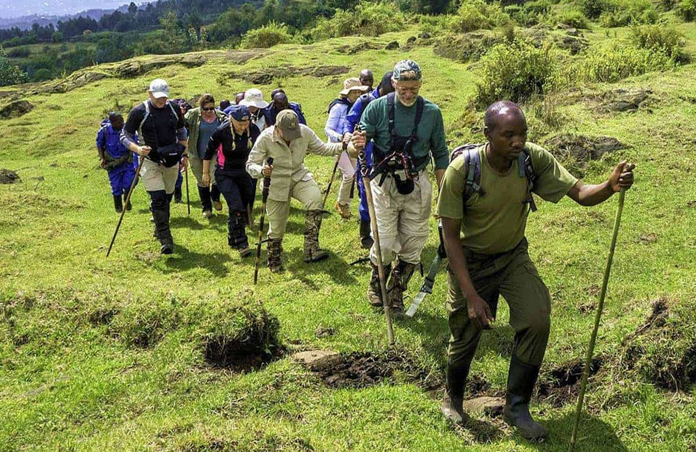 For travelers seeking additional adventure, guided volcano hikes offer spectacular opportunities to explore the dramatic landscapes surrounding Volcanoes National Park. Treks through bamboo forests, montane vegetation, 
