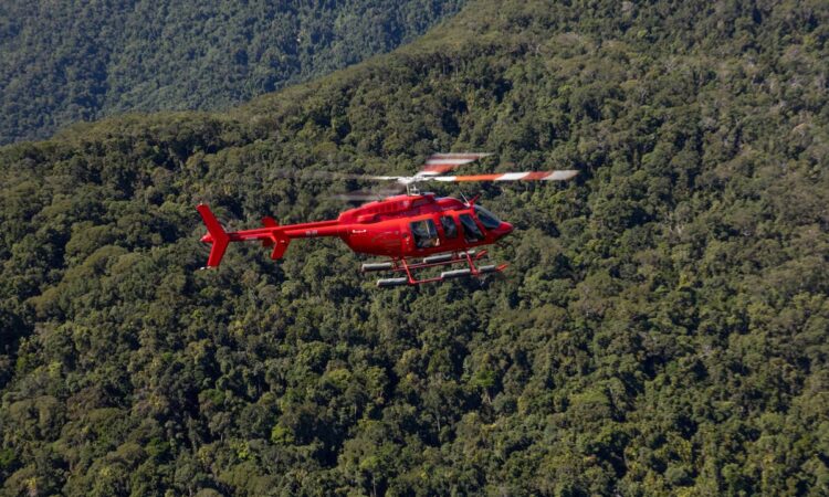 For travelers seeking the ultimate luxury safari experience, helicopter gorilla safaris provide unmatched exclusivity and convenience. Guests enjoy spectacular